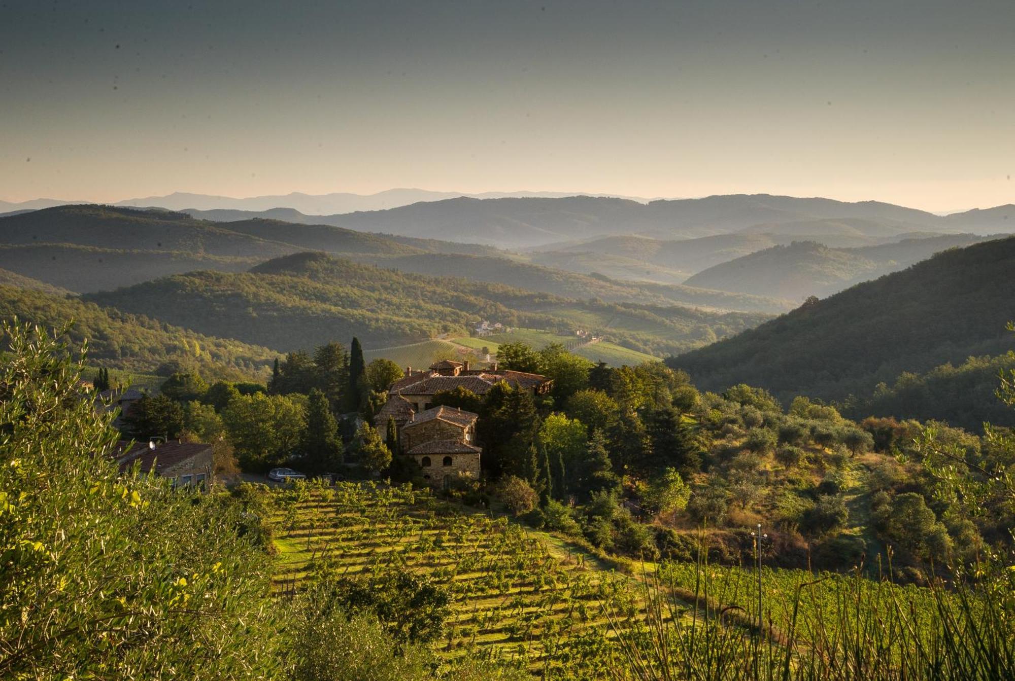 Tregole Leilighet Castellina in Chianti Eksteriør bilde